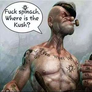 Meet your Posher, Vincent